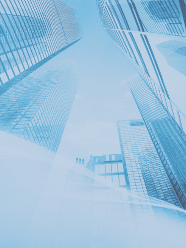 2015年入社 営業部門 統括マネージャー