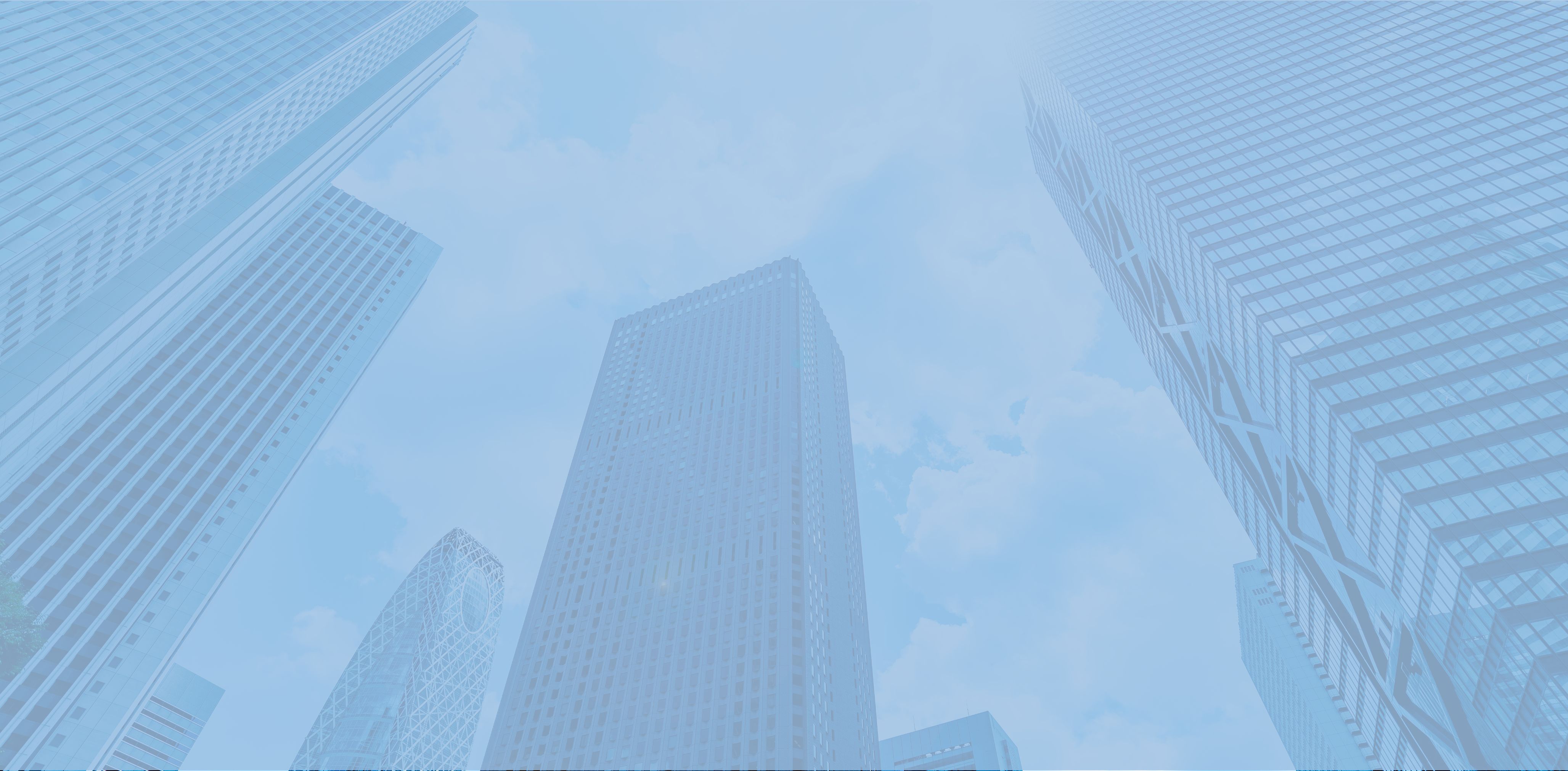 2020年入社 営業チーム 統括